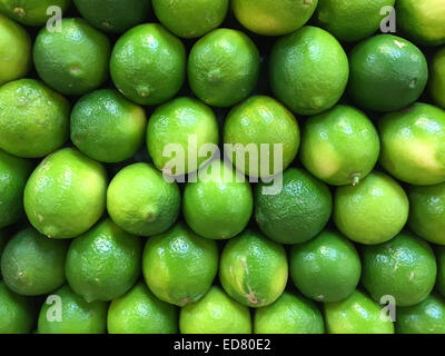 Produits frais, mûr limes empilés en rangées à un marché agricole local. Banque D'Images