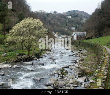 L'East Lyn River au printemps, Lynmouth, Devon, Angleterre, Royaume-Uni. Banque D'Images