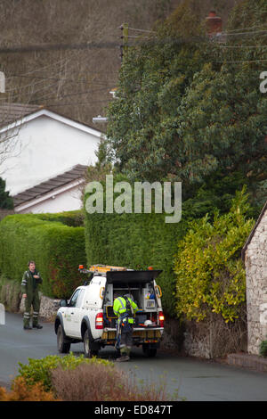 Flintshire, au nord du Pays de Galles, UK Weather des vents violents a frappé le nord du Pays de Galles arbres causant à frapper câbles électriques aériens, power company sur place Banque D'Images