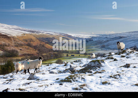 Littondale sous la neige dans les vallées du Yorkshire, Angleterre. Banque D'Images