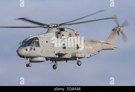 MK2 Merlin de la Marine royale du RNAS Culdrose Banque D'Images