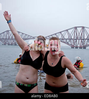 South Queensferry, Edinburgh, Scotland UK. 01 janvier 2015. Queensferry Loony Dook, les plongeant dans la rivière Forth à l'ombre de la célèbre Forth Rail Bridge. A lieu le troisième jour de l'Edinburgh Hogmany célébrations du Nouvel An. Le temps était de 12 degrés, de forts vents et de fortes pluies mais cela n'a pas refroidir l'enthousiasme de ces hardis participants. Banque D'Images