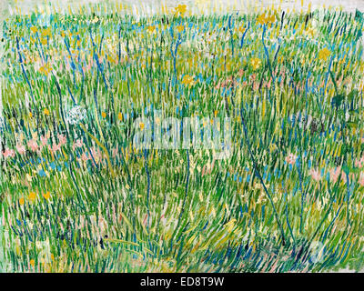 Vincent van Gogh, Patch d'herbe 1887 Huile sur toile. Kroller-Muller Museum, Otterlo, Pays-Bas. Banque D'Images