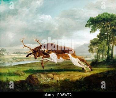George Stubbs, Hound coulant un cerf. Circa 1762. Huile sur toile. Philadelphia Museum of Art, USA. Banque D'Images