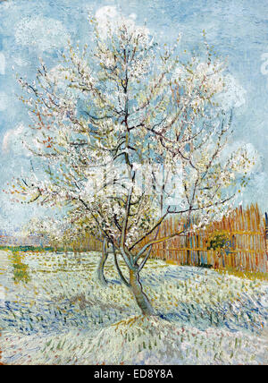 Vincent van Gogh, l'arbre Rose Pêche 1888 Huile sur toile. Van Gogh Museum, Amsterdam, Pays-Bas. Banque D'Images