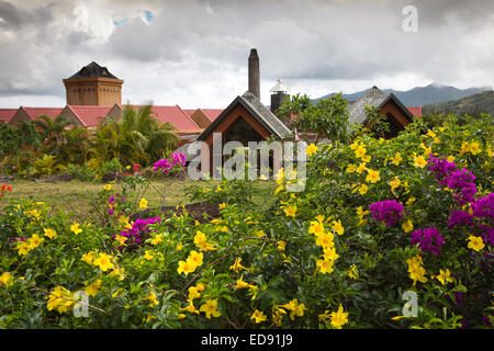 L'Ile Maurice, Chamarel, Fabrique de Rhum, fleurs en rhumerie jardin Banque D'Images