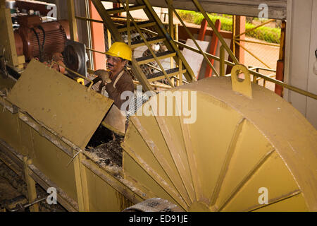 L'Ile Maurice, Chamarel, rhum, rhumerie visite d'usine, la canne à sucre en cours de traitement, d'exploitation des travailleurs de la machine de coupe Banque D'Images