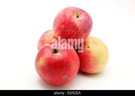 Pommes sur fond blanc Banque D'Images