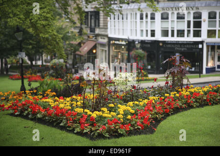 La ville thermale d'Harrogate floral dans Yorkshire du Nord est l'un des lieux les plus prisés dans le pays pour vivre. Banque D'Images