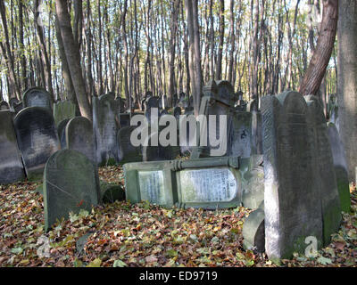 Cimetière juif de la rue Okopowa Varsovie Pologne Banque D'Images