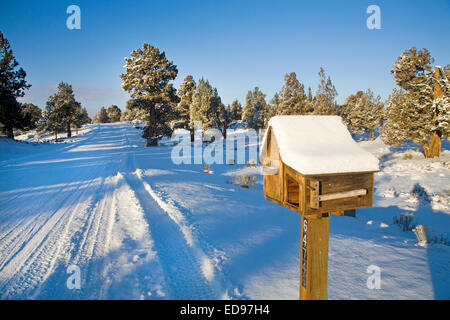 Une boîte en bois en milieu rural et un journal fort le long d'une route de campagne dans le centre de l'Oregon Banque D'Images