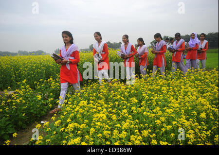 Village du Bangladesh les filles vont à l'école dans le champ avec les manuels scolaires à l'extérieur rassemblement de Dhaka. Banque D'Images