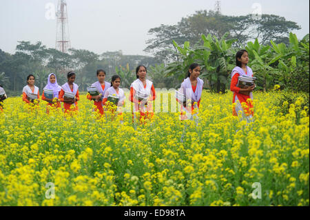 Village du Bangladesh les filles vont à l'école dans le champ avec les manuels scolaires à l'extérieur rassemblement de Dhaka. Banque D'Images