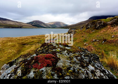 Les vues à la vers le bas sur le fragile Glen Isle of Skye, Scotland Banque D'Images