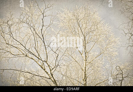 Les branches d'arbres couverts de neige au style vintage Banque D'Images