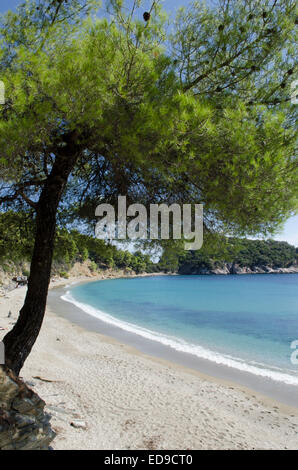 Staphylos ou la plage de Stafilos, Skopelos. Octobre Banque D'Images