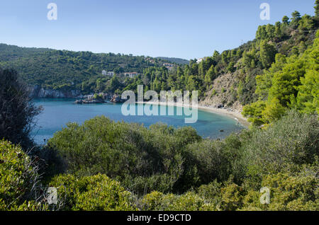 Staphylos ou la plage de Stafilos, Skopelos. Octobre Banque D'Images