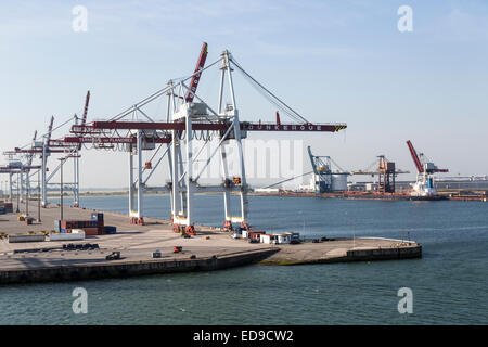 Grues sur quai, port de Dunkerque, France Banque D'Images