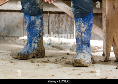 Bottes en caoutchouc bleu boueux sur pieds Banque D'Images