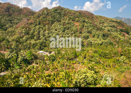 Paysage paysage entre les villes de Maumere Moni et sur l'île de Flores, en Indonésie. Banque D'Images