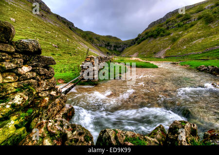 Environ 4 miles de Malham dans le Yorkshire Dales National Park est Gordale Scar. Banque D'Images