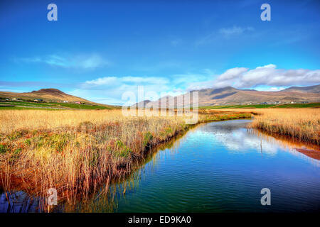 Péninsule de Dingle, Irlande Banque D'Images