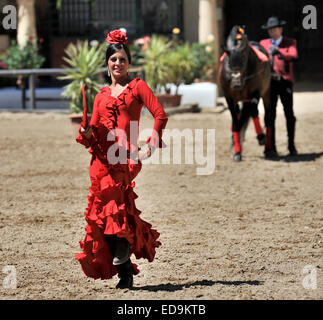 Spectacle équestre à l'écuries royales (Caballerizas Reales), Cordoue, Espagne Banque D'Images