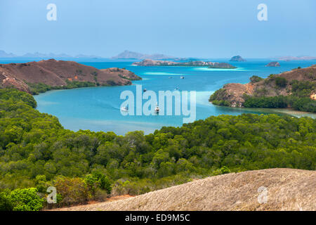 La côte de Rinca Island dans la région de Nusa Tenggara en Indonésie. Banque D'Images