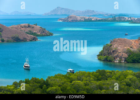 La côte de Rinca Island dans la région de Nusa Tenggara en Indonésie. Banque D'Images