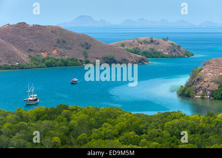 La côte de Rinca Island dans la région de Nusa Tenggara en Indonésie. Banque D'Images