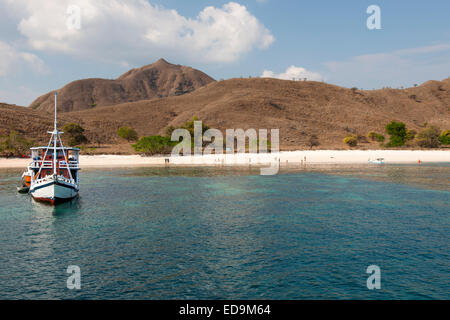 Bateaux touristiques ancré au large plage rose, une partie de l'île de Komodo, à l'Est de Nusa Tenggara, en Indonésie. Banque D'Images