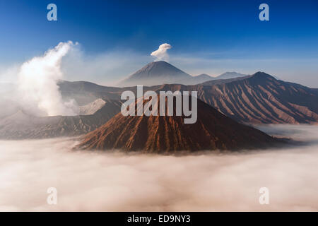 Le Mont Bromo (l'évacuation de la vapeur, à gauche) et de Gunung Semeru (centre historique) dans le Parc National de Bromo Tengger Semeru, Java, Indonésie. Banque D'Images