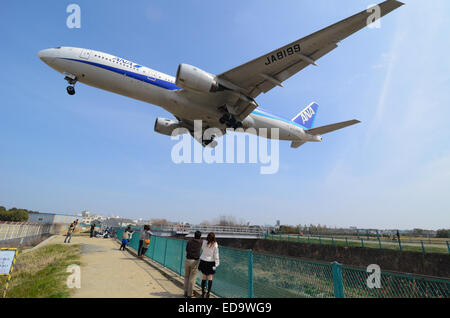 Un grand jet de passagers arrivant sur la terre à l'aéroport d'Itami à Osaka, Japon. Banque D'Images
