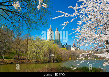 Central Park, New York City. USA. Banque D'Images