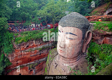 Le Grand Bouddha de Leshan, la plus grande statue du Bouddha sculptées en pierre dans le monde de la dynastie Tang, province du Sichuan, Chine Banque D'Images