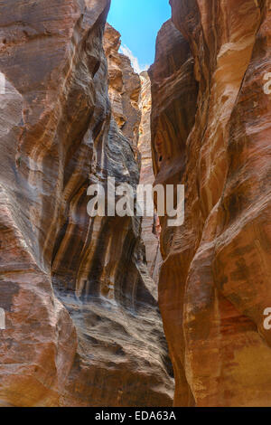 Le Siq, l'étroit canyon qui sert de couloir d'entrée à la ville cachée de Pétra, en Jordanie. Banque D'Images