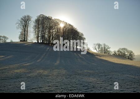 Frosty lumineuse journée d'automne à Dinefwr park, National Trust site dans l'ouest du pays de Galles. Dinefwr Park et château, Llandeilo. Banque D'Images