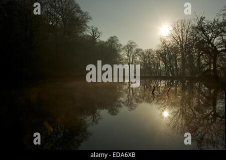 La lumière solaire réfléchie sur l'eau sur le lac glacial lumineuse journée d'automne à Dinefwr park, National Trust site dans l'ouest du pays de Galles. Banque D'Images