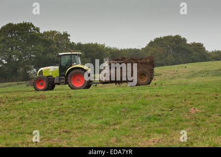 Muck-diffusion : diffusion d'engrais organiques, riches en espèces, sur le pré, Kingcombe, Dorset. Banque D'Images