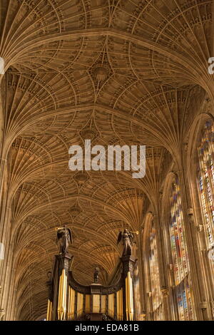 L'intérieur de King's College, Cambridge, superbe exemple de la fin du 15e siècle l'architecture gothique perpendiculaire anglais. Banque D'Images
