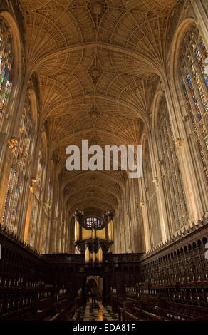 L'intérieur de King's College, Cambridge, superbe exemple de la fin du 15e siècle l'architecture gothique perpendiculaire anglais. Banque D'Images