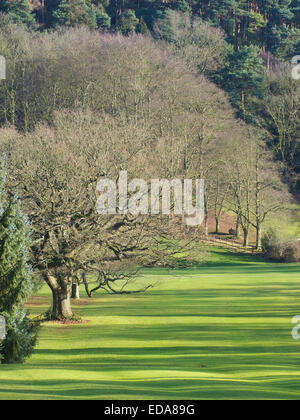 Lickey Hills Golf Course, Lickey Hills Country Park, Worcestershire, Angleterre, RU en hiver Banque D'Images