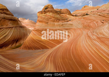 La Vague coupe à travers une montagne de grès dans la région de Coyote Buttes du paria Canyon-Vermillion Cliffs Wilderness en Utah. Banque D'Images