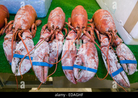 Homards sur la vente avec griffes fixées au marché de poissons de Billingsgate, Canary Wharf, Londres, Angleterre, Royaume-Uni, UK Banque D'Images