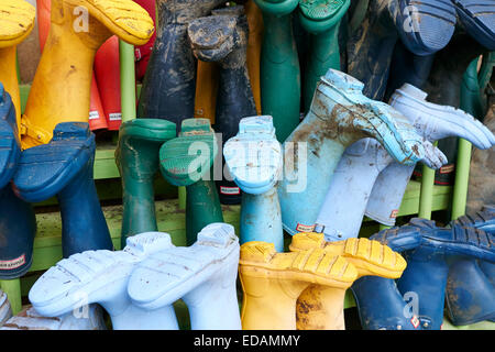 Hunter Wellies sur un rack Wellie hors Cowley Manor Gloucestershire UK Banque D'Images