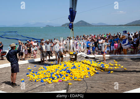 Rotary club est la promotion de la course de canards à Palm Cove Australie Banque D'Images