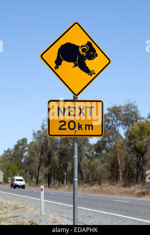 Panneau d'avertissement pour koala au Queensland Banque D'Images
