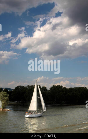 Bateau à voile sur le Rhin près de Ruedesheim dans le Rheingau, Hesse, Allemagne Banque D'Images