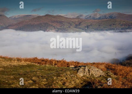 Dans la brume basse vallée Brathay vus de Latterbarrow, Lake District, Cumbria Banque D'Images