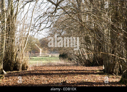 IImber Village plaine de Salisbury Wiltshire England UK.. Prises par l'Armée pour la formation en 1943 et n'est jamais revenu. Banque D'Images